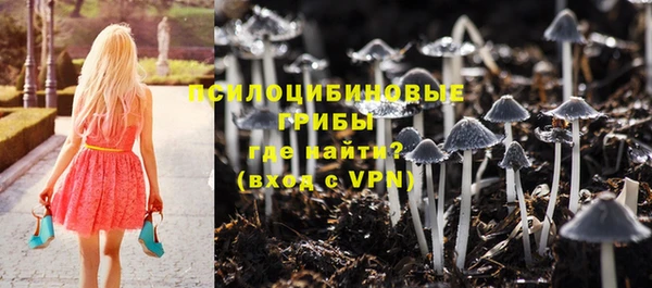 круглые Семёнов